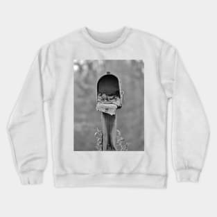 Forgotten Mail Crewneck Sweatshirt